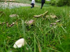 -艾溪湖湿地公园