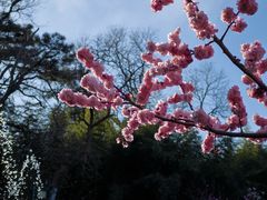 -红螺寺