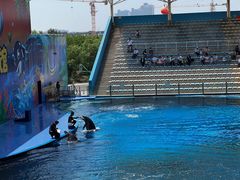 -北戴河圣蓝海洋公园