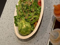 -油梨树AVOCADO TREE(嘉里中心店)