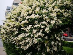 -济南富力凯悦酒店