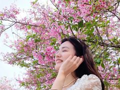 -天适樱花悠乐园