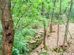 -宝岩生态观光园