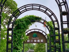 -金山农民画村-枫泾波兰倒置屋
