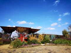 -上海长兴岛郊野公园