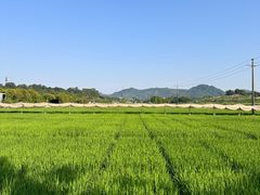 -光明小镇欢乐田园