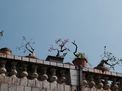 -巴浪鱼咖啡馆 Local Fish