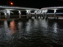 -演武大桥观景平台