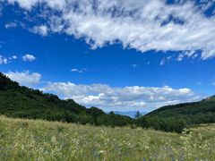 -白草畔自然风景区