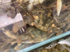 -仙螺岛海鲜自助餐厅(总店)