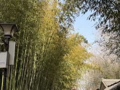 -竹泉村旅游度假区