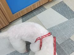 -总动员动物医院(宝丰院店)