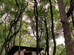 -中国茶叶博物馆(双峰馆区)