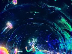 -海合安成都极地海洋公园