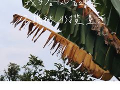 -艾溪湖湿地公园