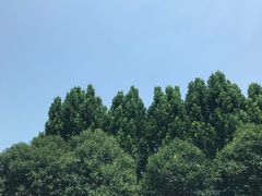 -河南省体育中心-南门停车场
