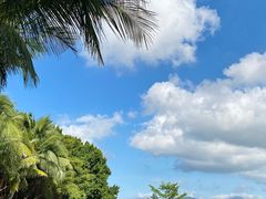 -深圳湾公园(南山区)