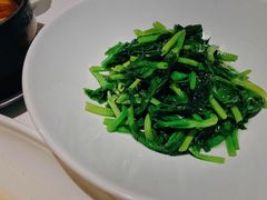 清炒豆苗-广舟(千禧店)