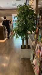 -崇尚GAVIN STYLE臻选