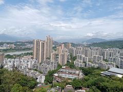 -福道