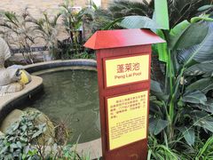 -太白山御龙湾温泉