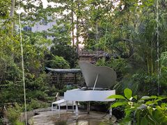 -花溪雨·森林餐厅(石基店)