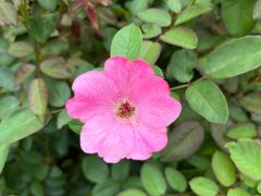 -杭州城北体育公园