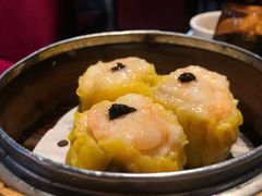 -糖朝(尖沙咀店)