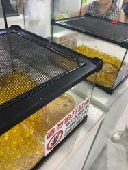 -神奇动物撸宠馆·羊驼·小浣熊·异宠(豫园店)