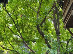 -重庆十八梯传统风貌区