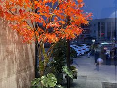 -唐宫足道·SPA·影院会馆(木渎店)