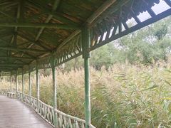 -处女泉风景名胜区