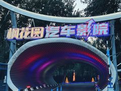 -枫花园汽车电影院(朝阳公园店)