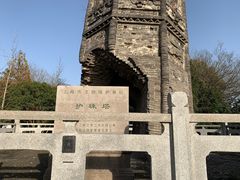 -上海佘山国家森林公园天马山园