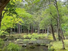 -西芳寺(苔寺)