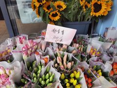 -溪岸路花鸟市场