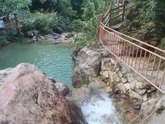 -南海湾森林生态园