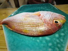 -加奈日本料理