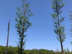-佛手湖郊野公园