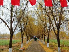 -长兴太湖图影湿地文化园