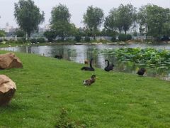 -长春市南湖公园