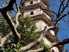 -江心屿景区