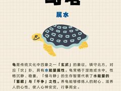 -立德异宠动物医院.兔鸟爬.内窥镜(天河店)