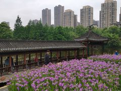 -龙头寺公园