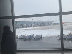 -青岛胶东国际机场