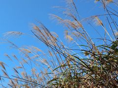 -山王坪喀斯特国家生态公园