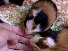 -正佳雨林生态植物园