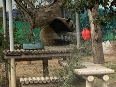 -苏州太湖国家湿地公园
