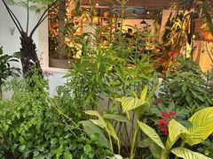 -自由生长植物工作室(深港花卉中心店)