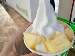 -Salud撒露欧洲冻酸奶(北苑上品店)